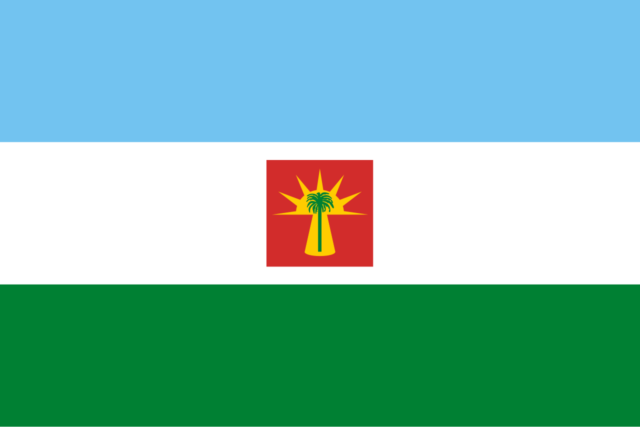 Bandera de BARINAS