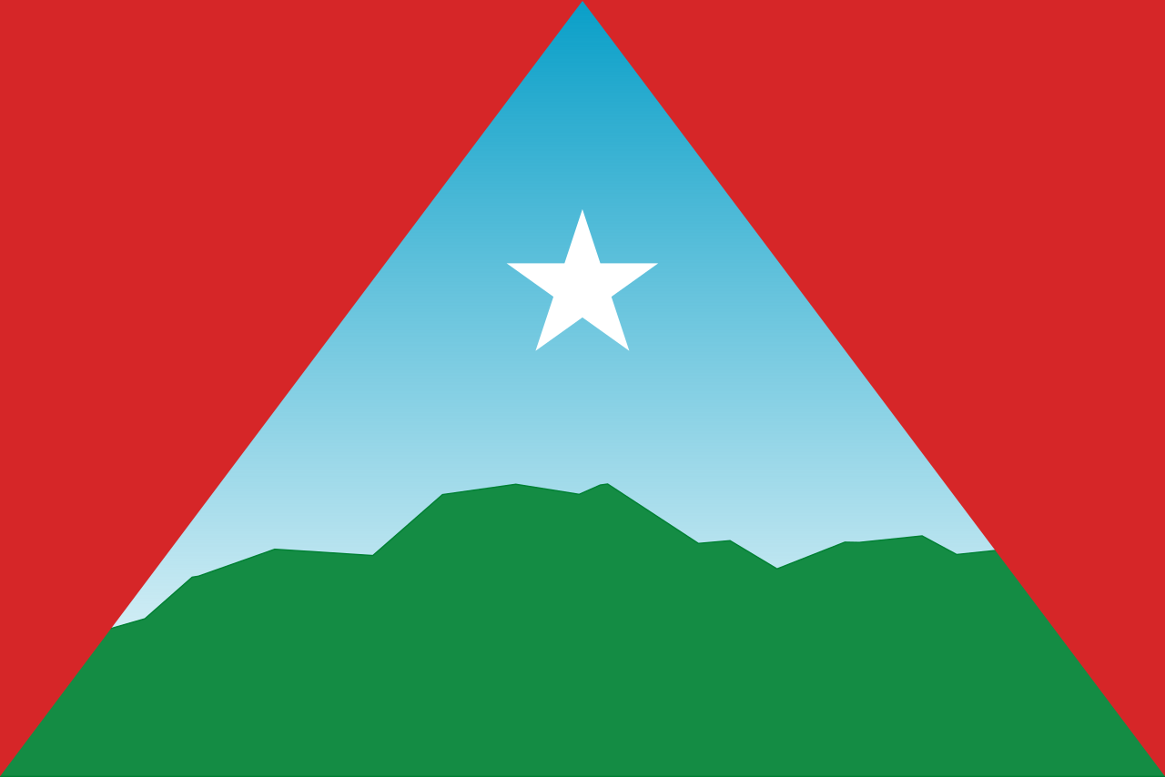 Bandera de CARACAS