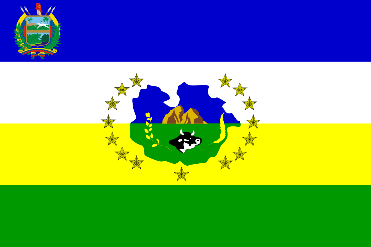 Bandera de GUÁRICO